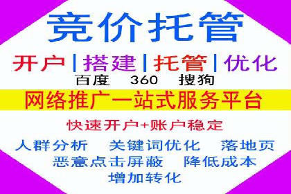 提升广告ROI：SEM竞价优化的实战案例